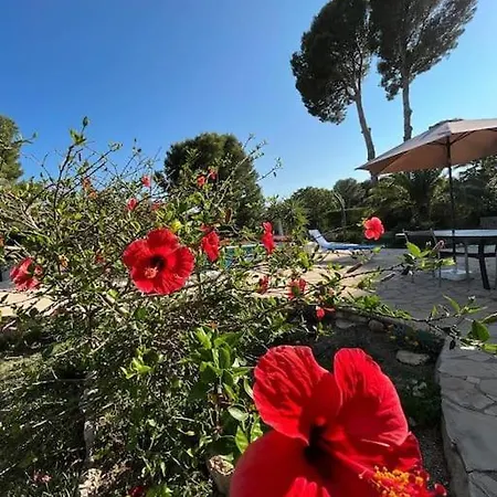 Seaside Serenity Villa Les Tres Cales